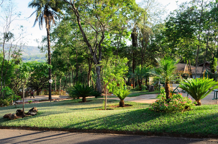Imagem da propriedade 532 14